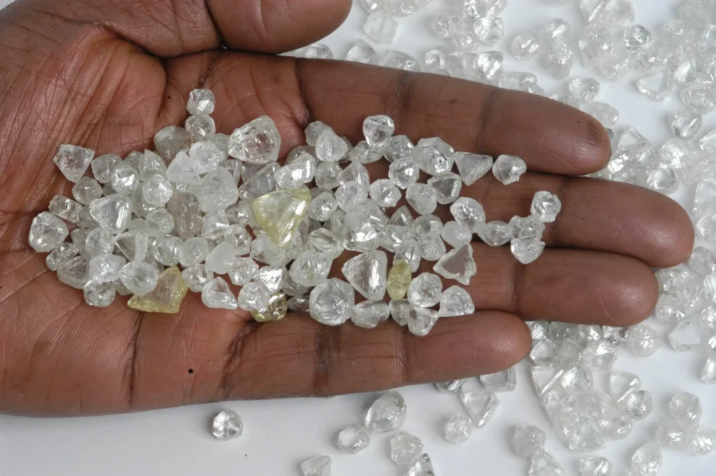 Ejecutante pellizco Flexible Formation Diamant - École de Gemmologie de Monaco